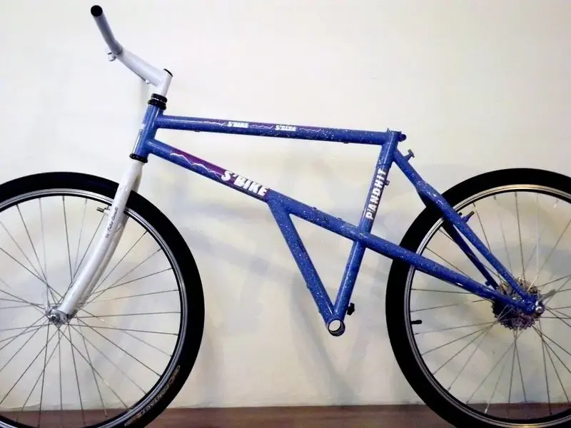 DSCF6736.webp