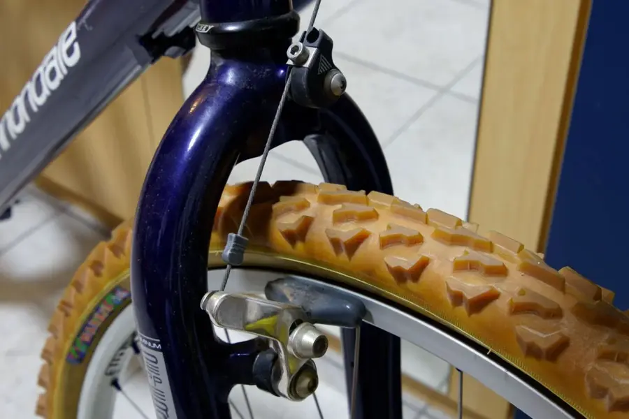 DSC04377_DxO.webp