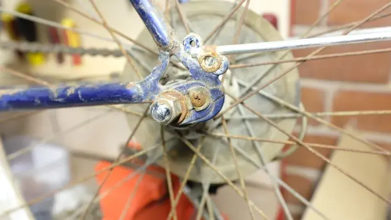 araya-rear-dropout-rustywheel.webp
