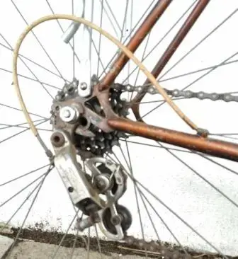 bike7.webp