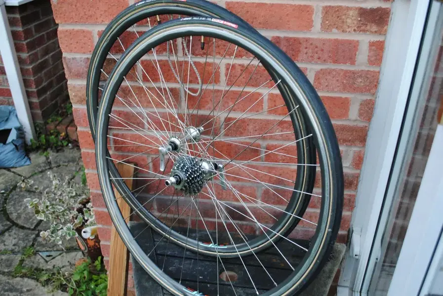 600 wolber vittoria.webp