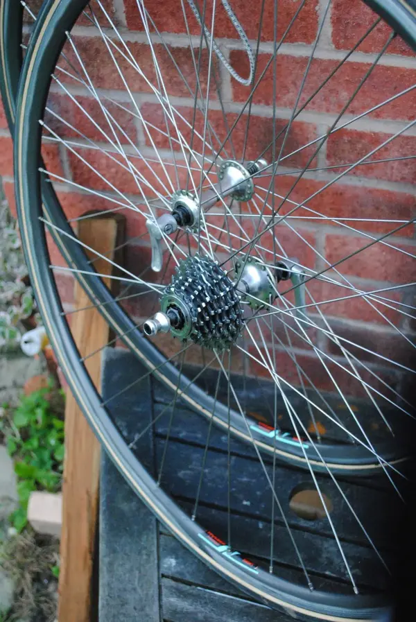 600 wolber.webp