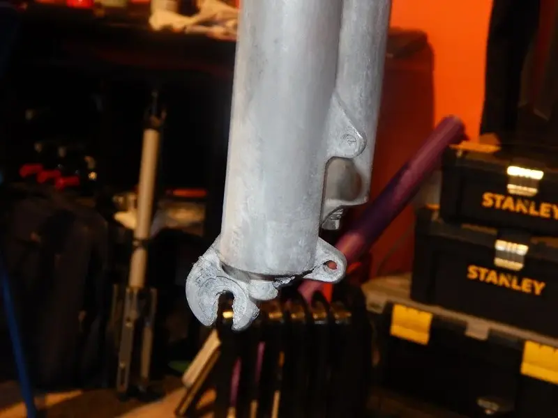 DSCN6393.webp