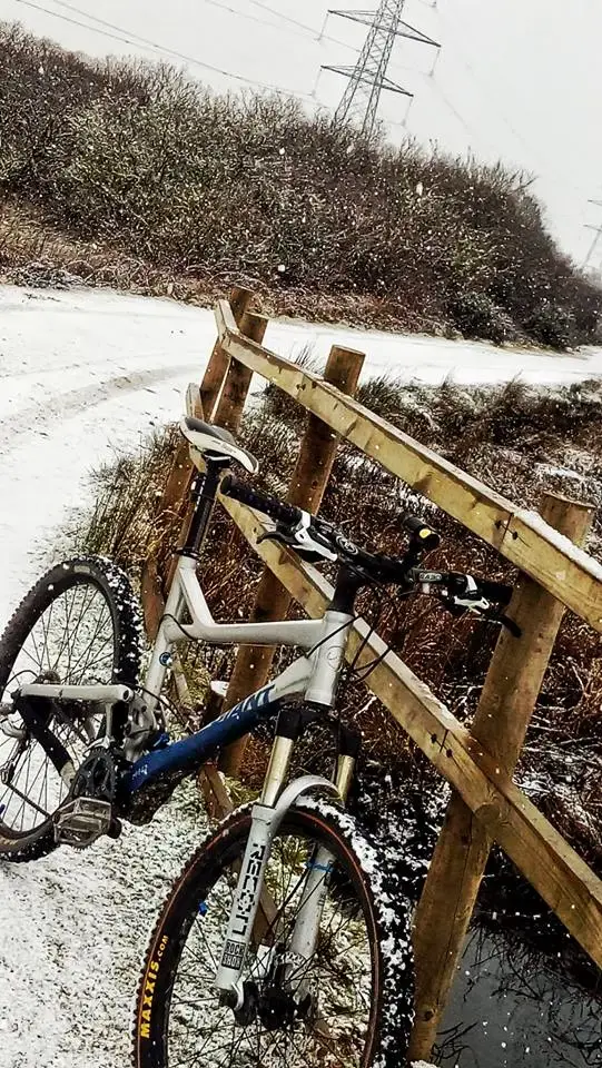 snow.webp