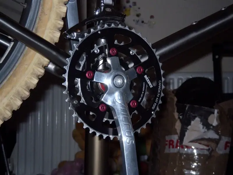 P1010644 (Medium).webp