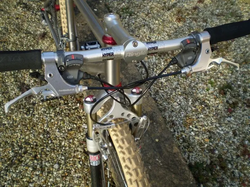 P1010669 (Medium) - Copy.webp