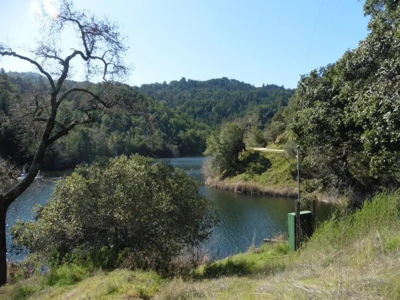 Phoenix Lake.webp