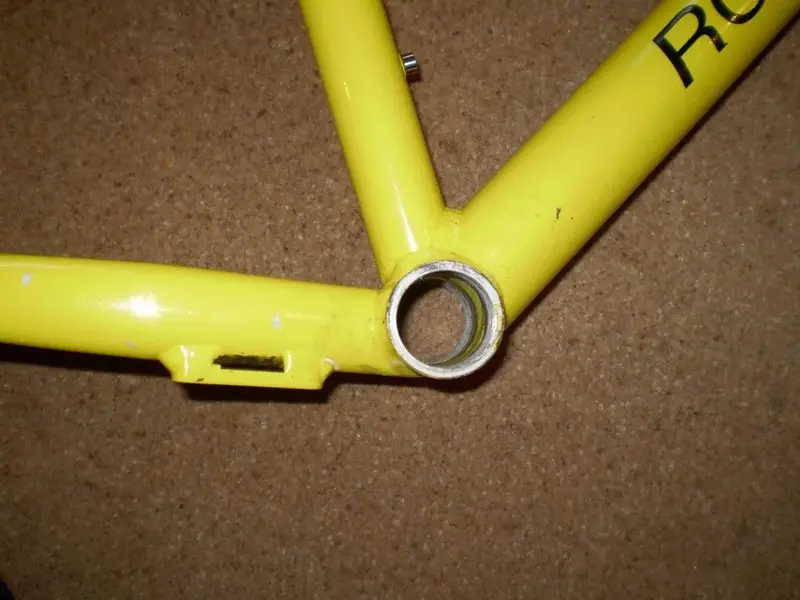 P1010577 (Medium).webp