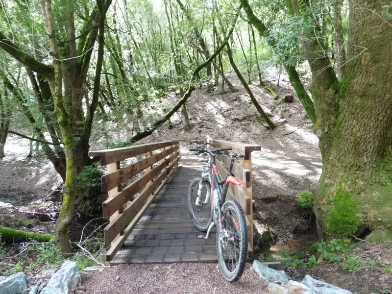 New bridge.webp