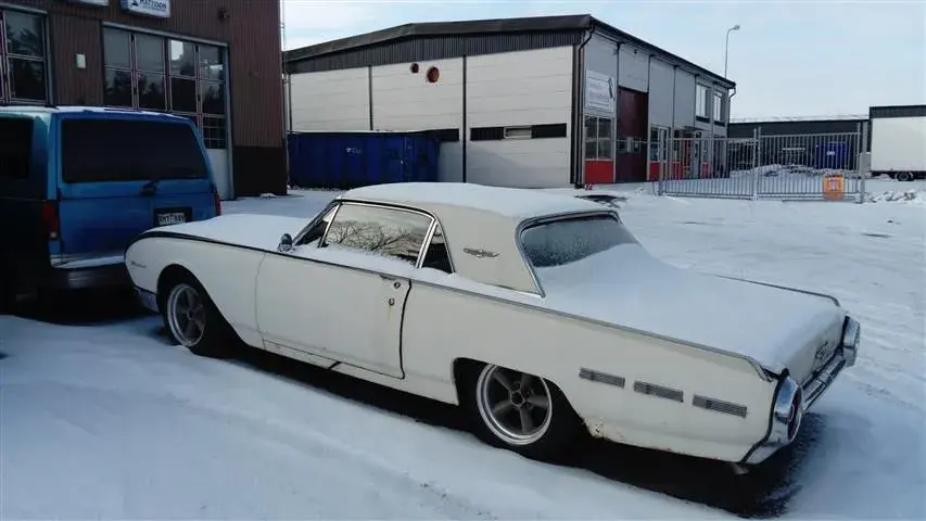 tbird.webp