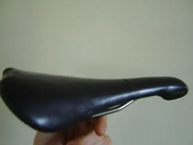 DSC02626.webp
