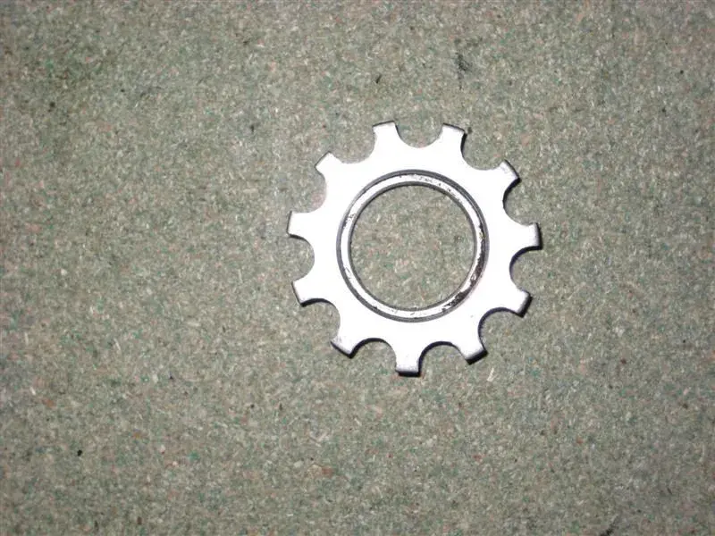 Picture 139 (Medium).webp
