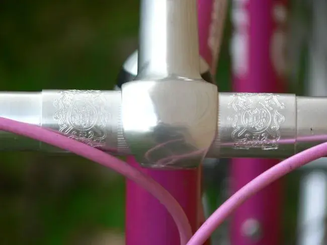 bar stem.webp