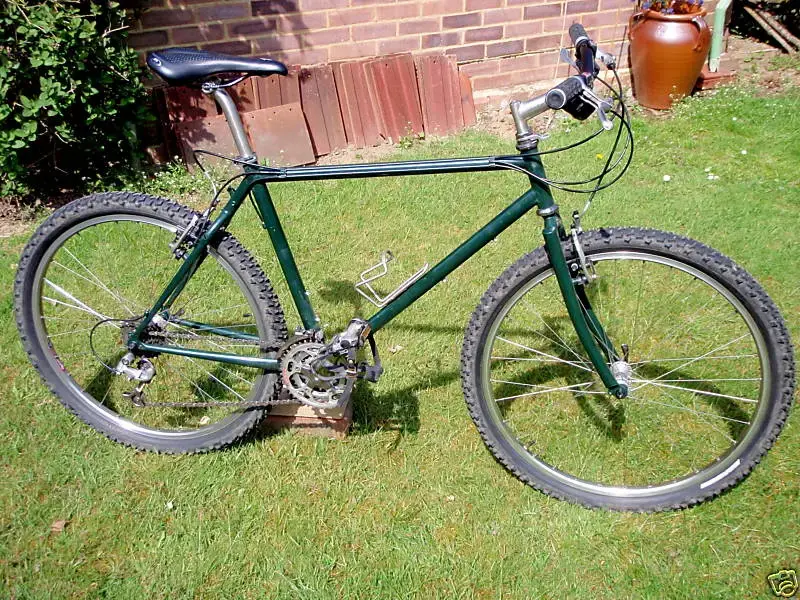 1995 C16R size 19 custom paint.webp