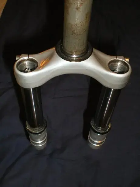 bored 016resized.webp