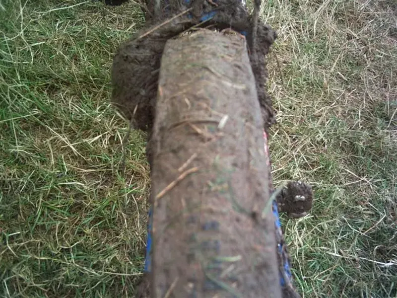 100_0019 (Medium).webp