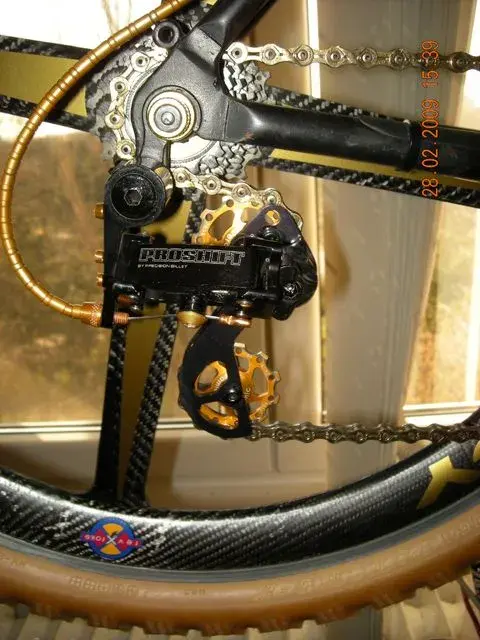 DSCN5449.webp