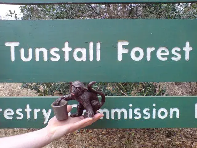tunstall-002.webp