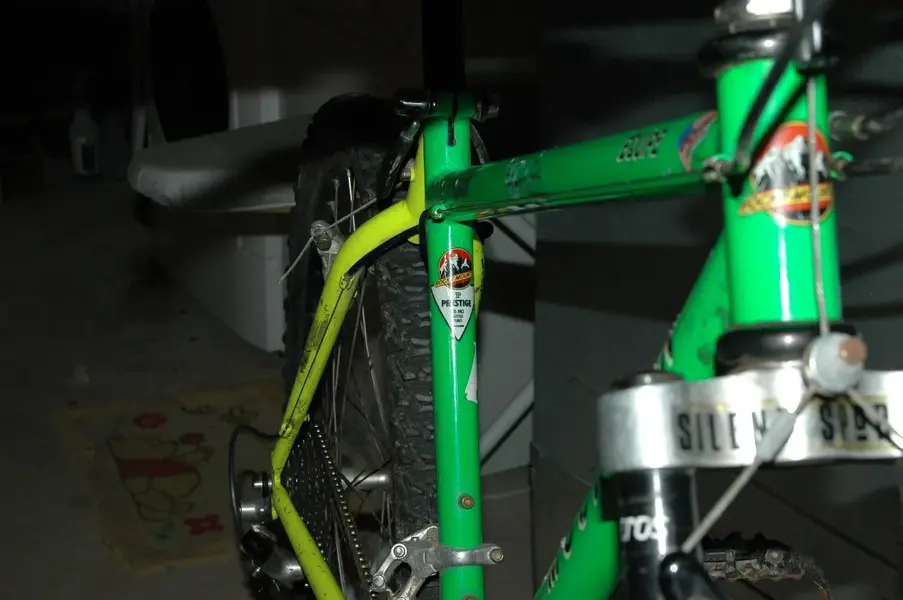 DSC_0519.webp
