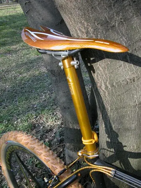 DSCN5929.webp