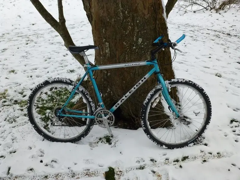 Raleigh SPD 001.webp