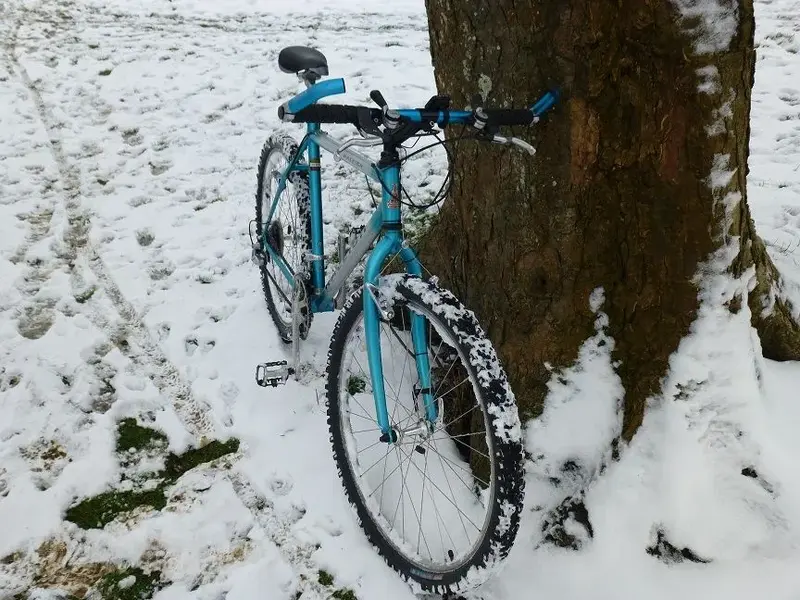 Raleigh SPD 002.webp