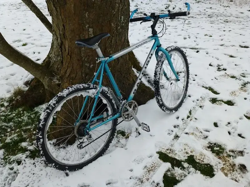 Raleigh SPD 003.webp