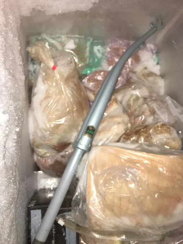 FrozenFork.webp