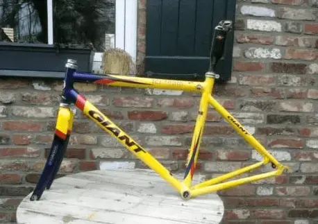 Giant TCR.webp