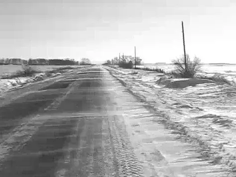 desolate.webp