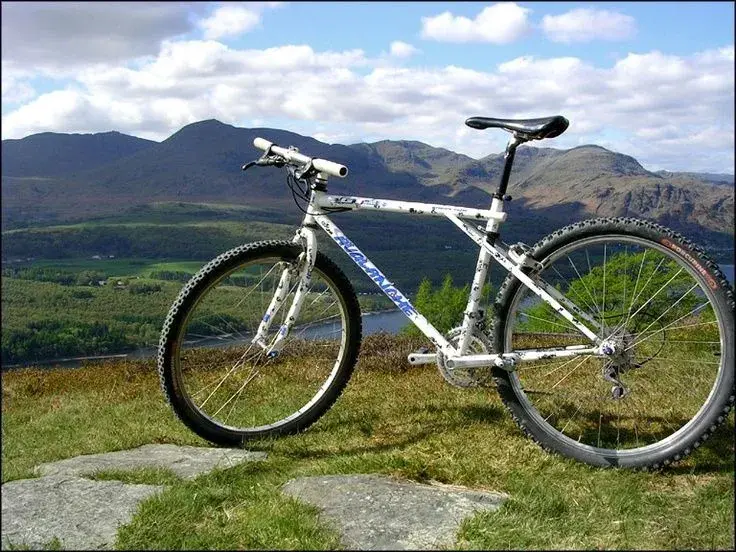 f5598b56d30225db509ae44699b2437a--avalanche-mountain-bike.webp