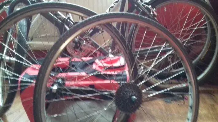 Both Wheels.webp