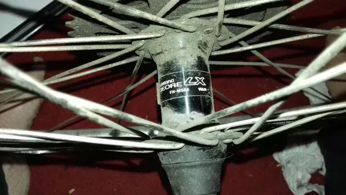Wheel Back 1.webp