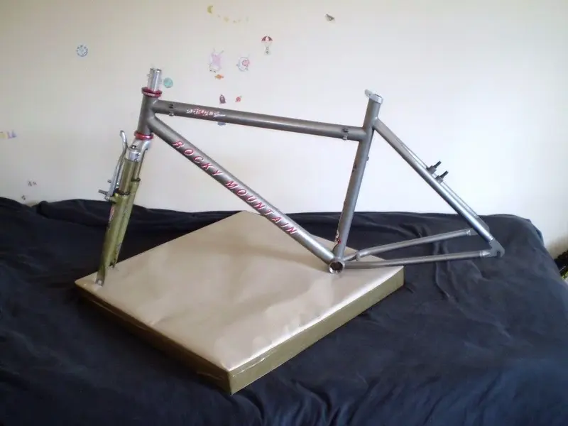 P1010235 (Medium).webp