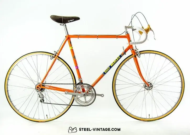 Eddy_Merckx_Kessels_Molteni-1.webp