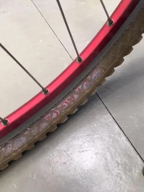 foto_no_exif-4 copy 3.webp