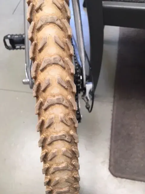 foto_no_exif-4 copy.webp