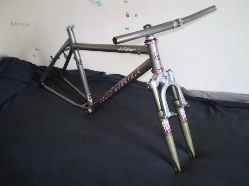 P1010236 (Medium).webp