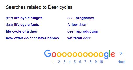 Deer Cycles.JPG