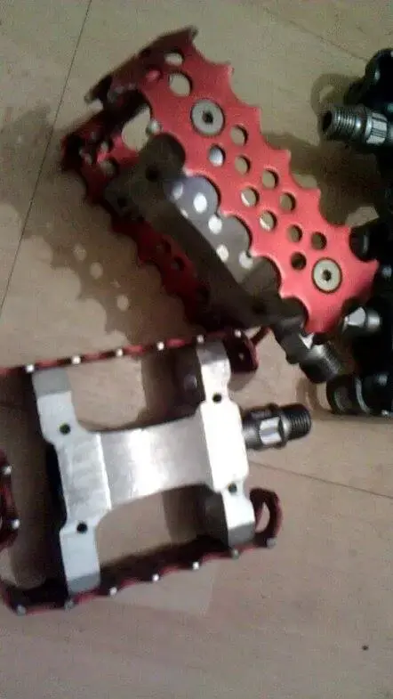 received_844081472451059.webp