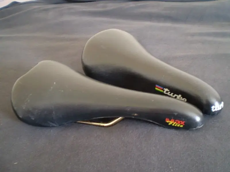 P1010281 (Medium).webp