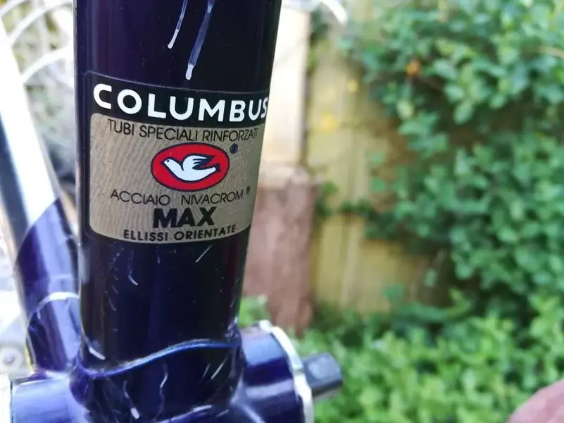 max columbus.webp
