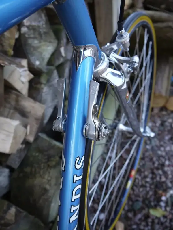 P1080504 (1) a.webp