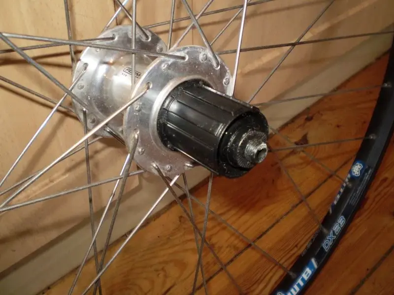 P1010504 (Medium).webp