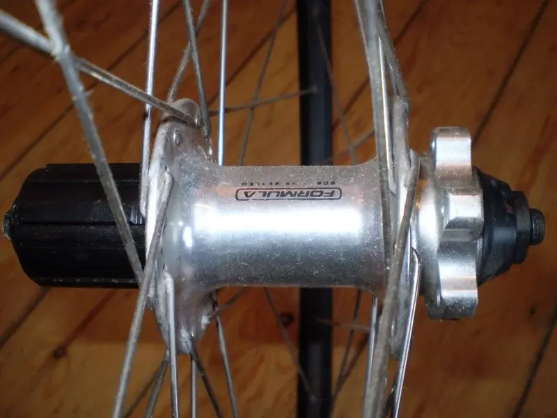 P1010503 (Medium).webp