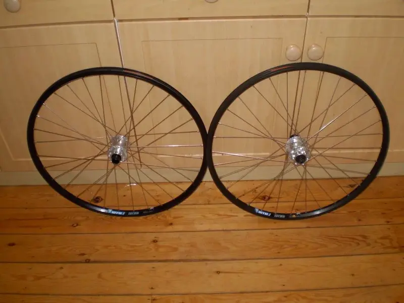 P1010495 (Medium).webp