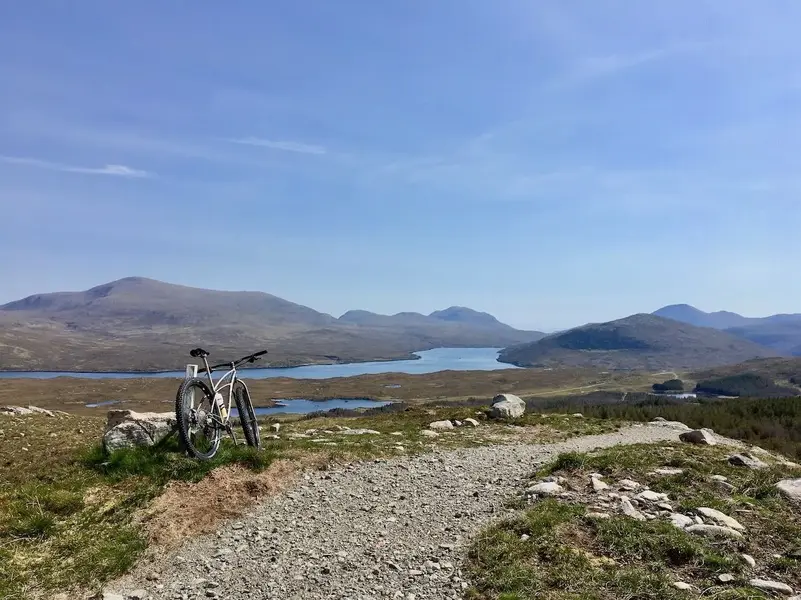 sheepinlewis.webp