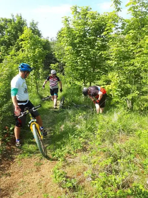 20180526_155258.webp