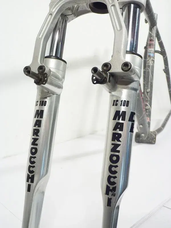XC100.webp