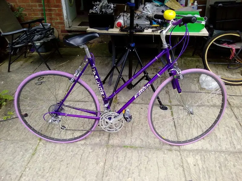 purple s.webp